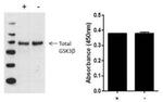 Multispecies GSK3 beta (Total) InstantOne™ ELISA Kit