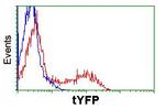 turboYFP Antibody in Flow Cytometry (Flow)