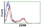 turboYFP Antibody in Flow Cytometry (Flow)