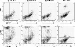 CD11c Antibody in Flow Cytometry (Flow)