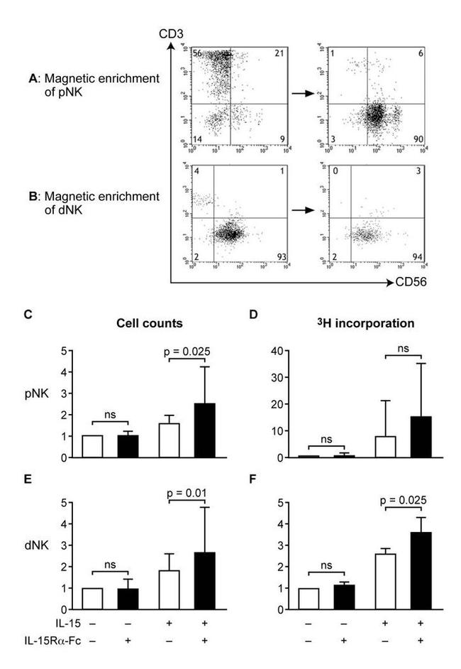 CD56 Antibody in Flow Cytometry (Flow)