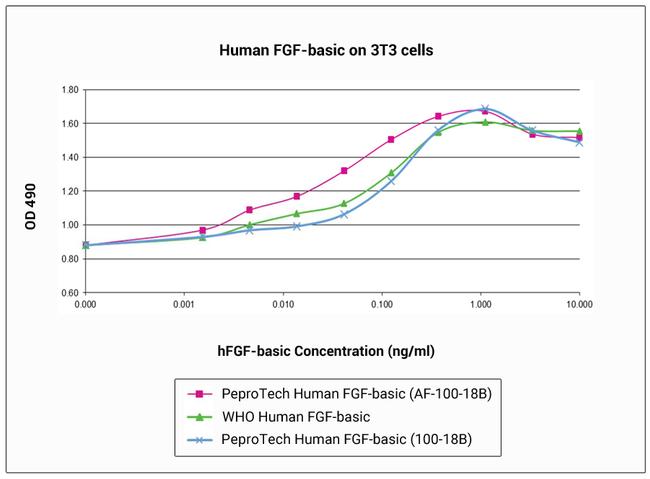 Human FGF-basic (FGF-2/bFGF) (154 aa) Protein in Bioactivity (Bioactivity)