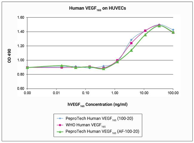 Human VEGF-165 Protein in Bioactivity (Bioactivity)