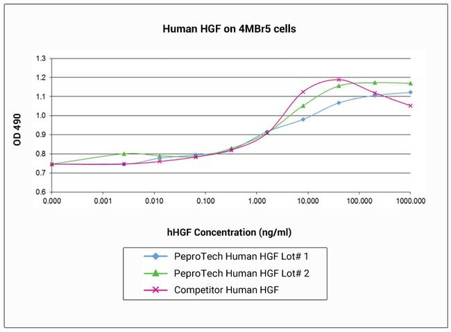 Human HGF Protein in Bioactivity (Bioactivity)