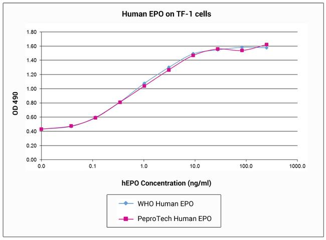 Epo Panel Human EPO (Erythropoietin) Recombinant Protein (100-64-50UG)