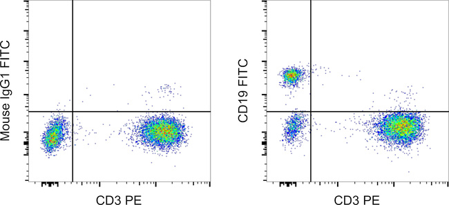 CD19 Antibody in Flow Cytometry (Flow)