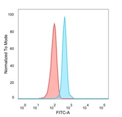 NACC1/Nac1/BTBD14B Antibody in Flow Cytometry (Flow)