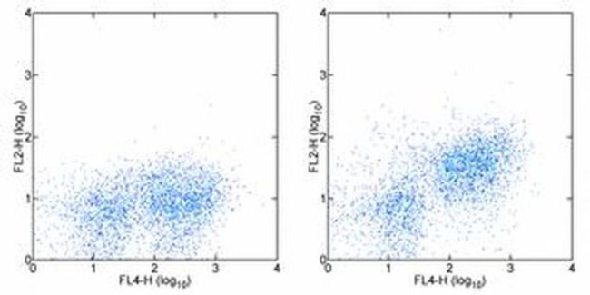 CD166 (ALCAM) Antibody in Flow Cytometry (Flow)