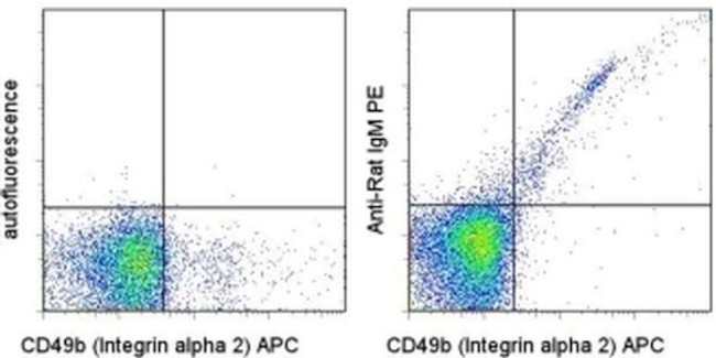 Rat IgM Antibody in Flow Cytometry (Flow)