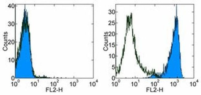 CD254 (RANK Ligand) Antibody in Flow Cytometry (Flow)