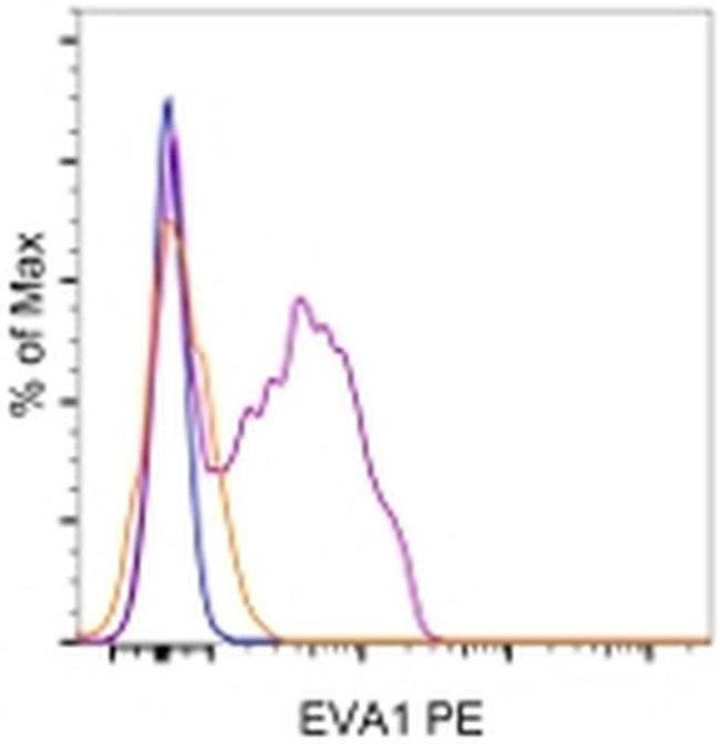 EVA1 Antibody in Flow Cytometry (Flow)