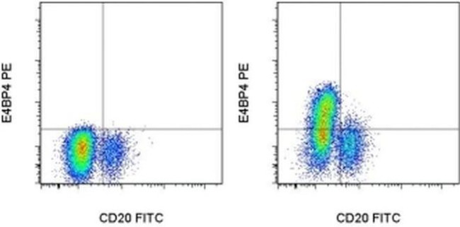 E4BP4 (NFIL3) Antibody in Flow Cytometry (Flow)