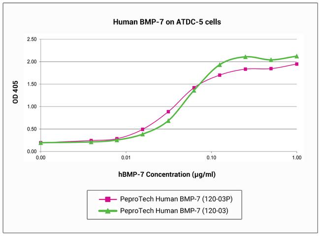 Human BMP-7 Protein in Bioactivity (Bioactivity)