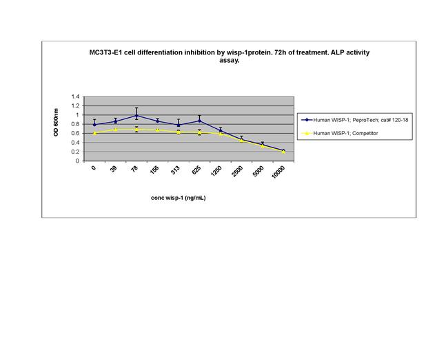 Human WISP-1 Protein in Bioactivity (Bioactivity)