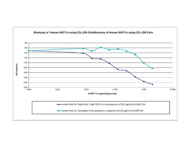 Human Wnt-7a Protein in Bioactivity (Bioactivity)