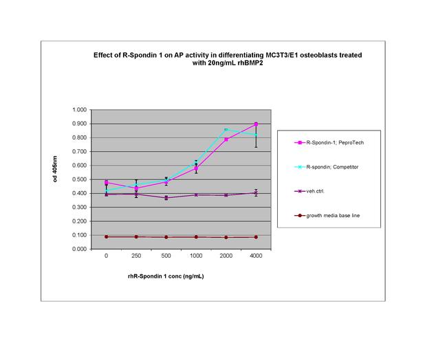 Human R-Spondin 1 Protein in Bioactivity (Bioactivity)