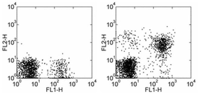 CD314 (NKG2D) Antibody in Flow Cytometry (Flow)