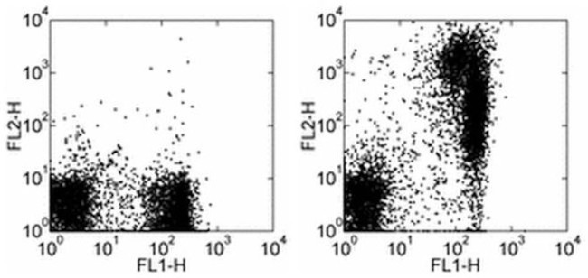 Mouse IgM Antibody in Flow Cytometry (Flow)
