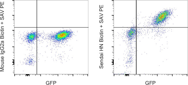 Sendai virus HN Antibody in Flow Cytometry (Flow)