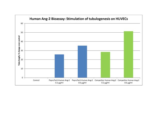 Human ANG-2 Protein in Bioactivity (Bioactivity)