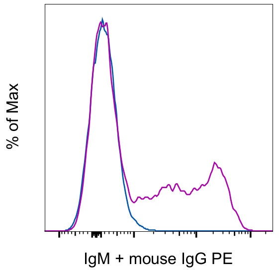 Rat IgM Antibody in Flow Cytometry (Flow)