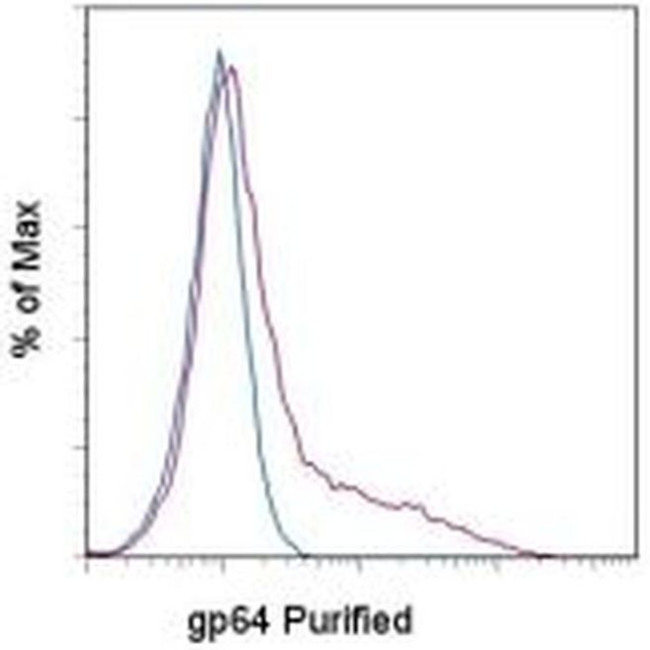 Baculovirus Envelope gp64 Antibody in Flow Cytometry (Flow)