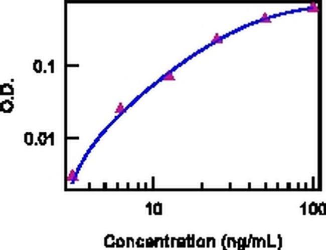 Mouse Flt3 Ligand (Flt3L) Protein in Bioactivity (Bioactivity)