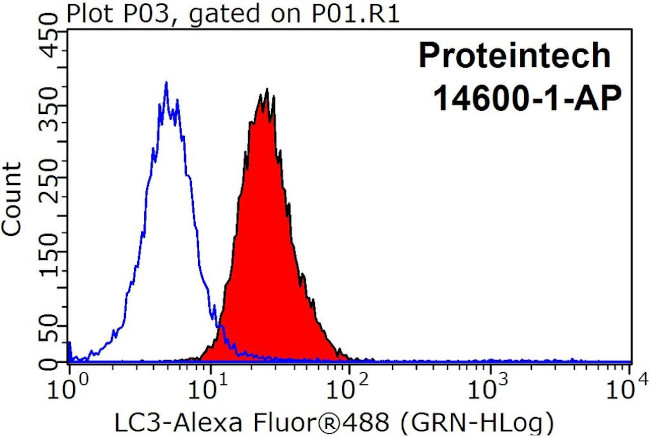 Lc3 Ip LC3 Polyclonal Antibody | Invitrogen (14600-1-AP)