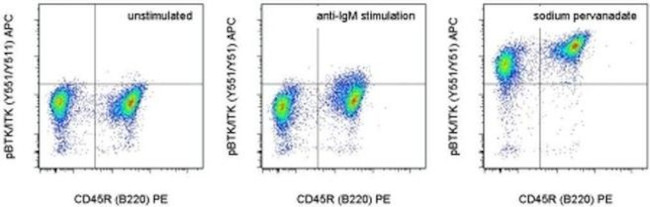 Phospho-BTK/ITK (Tyr551, Tyr511) Antibody in Flow Cytometry (Flow)