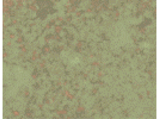 HSP60 Antibody in Immunohistochemistry (Paraffin) (IHC (P))