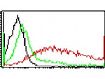 TLR5 Antibody in Immunohistochemistry (Paraffin) (IHC (P))