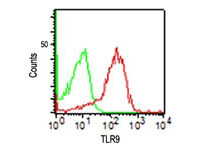 TLR9 Antibody in Flow Cytometry (Flow)