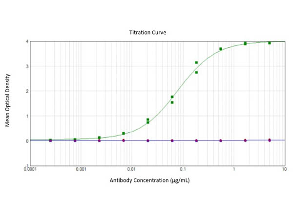 SARS-CoV-2 Beta Variant Spike Protein Antibody in ELISA (ELISA)