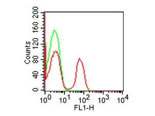 CD4 Antibody in Flow Cytometry (Flow)