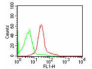 CD47 Antibody in Flow Cytometry (Flow)