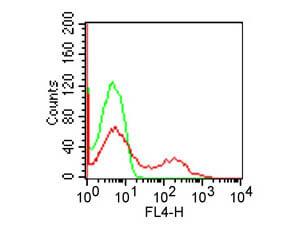 CD8 Antibody in Flow Cytometry (Flow)