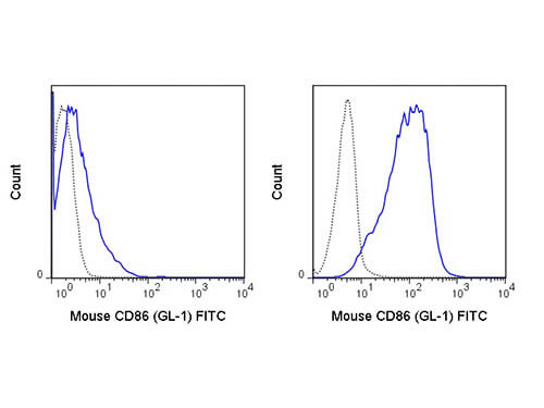 CD86 Antibody in Flow Cytometry (Flow)