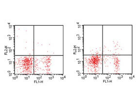 CD25 Antibody in Flow Cytometry (Flow)