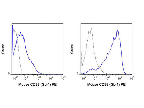 CD86 Antibody in Flow Cytometry (Flow)