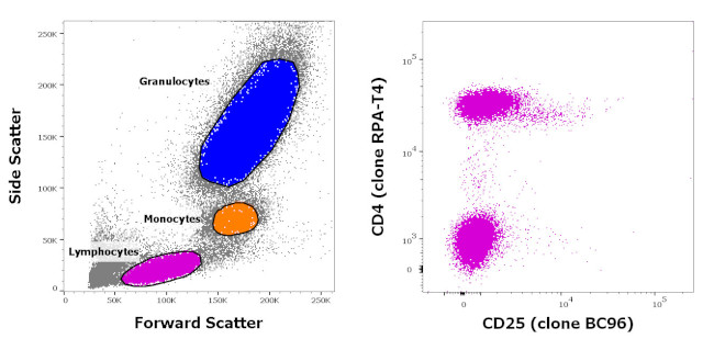 CD4/CD25 Antibody in Flow Cytometry (Flow)