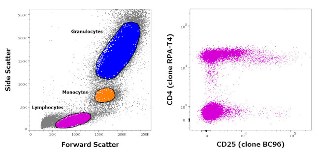 CD4/CD25 Antibody in Flow Cytometry (Flow)