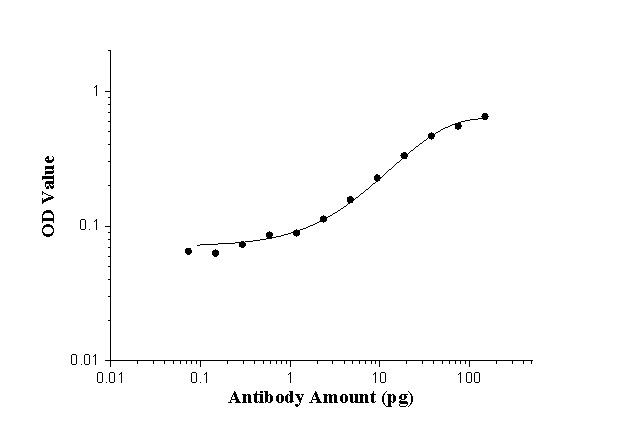AP repeat Antibody in ELISA (ELISA)