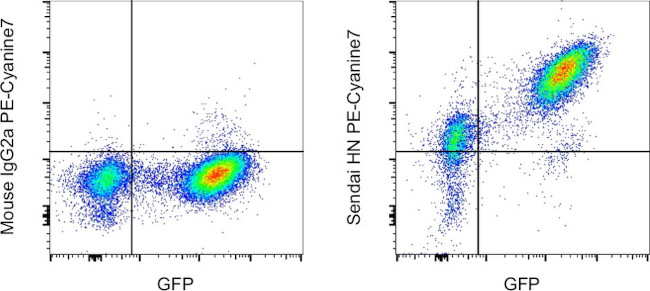Sendai virus HN Antibody in Flow Cytometry (Flow)