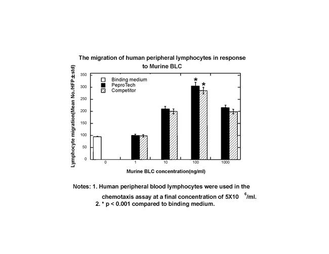 Mouse CXCL13 (BLC/BCA-1) Protein in Bioactivity (Bioactivity)
