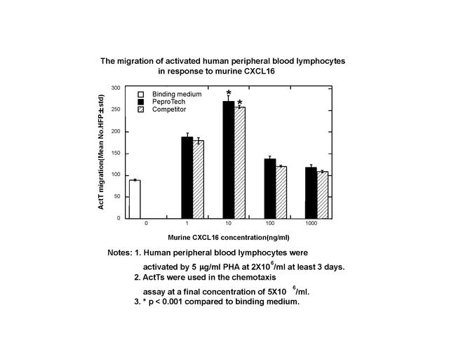 Mouse CXCL16 Protein in Bioactivity (Bioactivity)