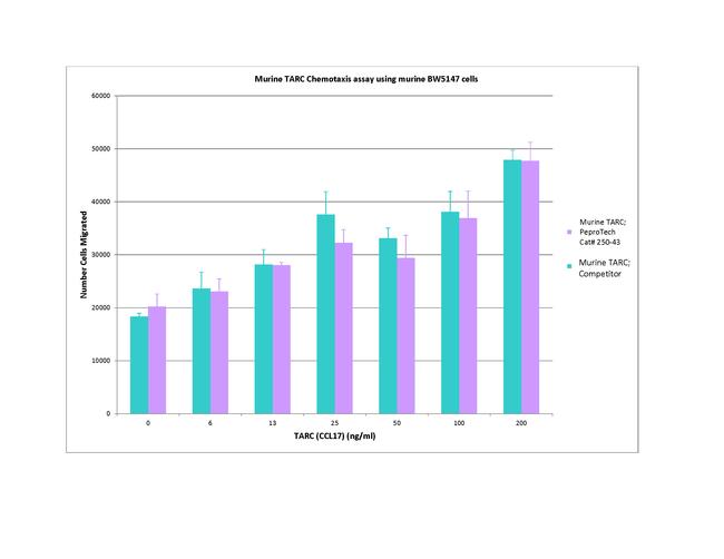 Mouse CCL17 (TARC) Protein in Bioactivity (Bioactivity)