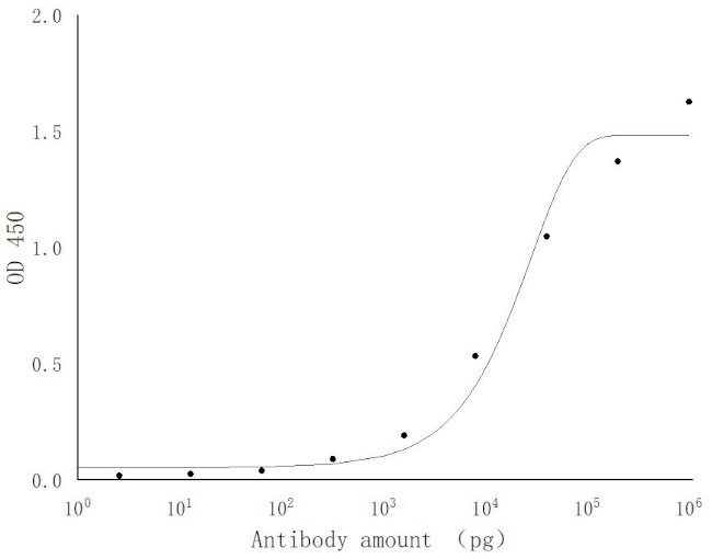 SARS-COV-2 NSP7 Antibody in ELISA (ELISA)