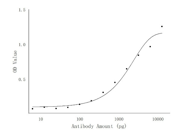 P54 of ASFV Antibody in ELISA (ELISA)