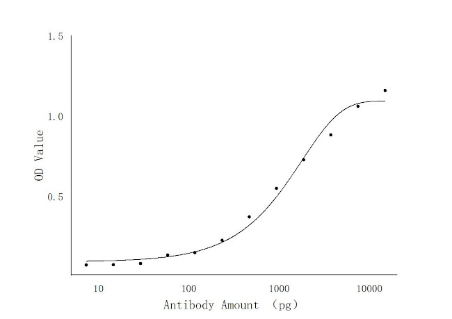 P72 of ASFV Antibody in ELISA (ELISA)