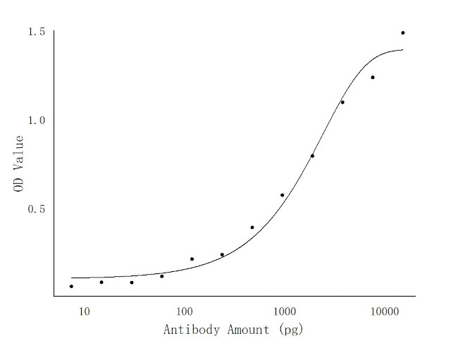 P30 of ASFV Antibody in ELISA (ELISA)
